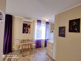 Апартаменты Cozy apartments on Schmidta street Винница Апартаменты-студио-10