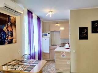 Апартаменты Cozy apartments on Schmidta street Винница Апартаменты-студио-13