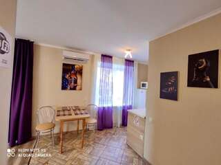 Апартаменты Cozy apartments on Schmidta street Винница Апартаменты-студио-20